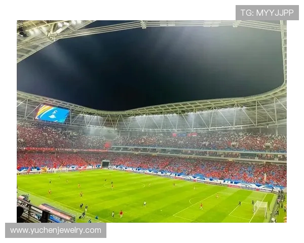 南京球迷 “人走场净” 赛场内外皆风景(3)