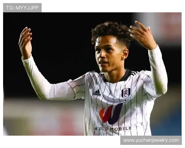 富勒姆赛季总结:中游韧性,蓄力新征程! 富勒姆赛季总结:中游韧性,蓄力新征程!